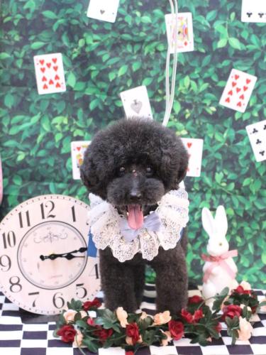 20250405ラブくん